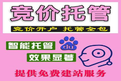 百度竞价推广代运营助力电商行业案例